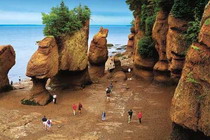 приливы – великаны bay of fundy