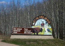 elk island national park of canada - парк elk island