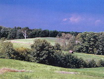 the oak ridges trail